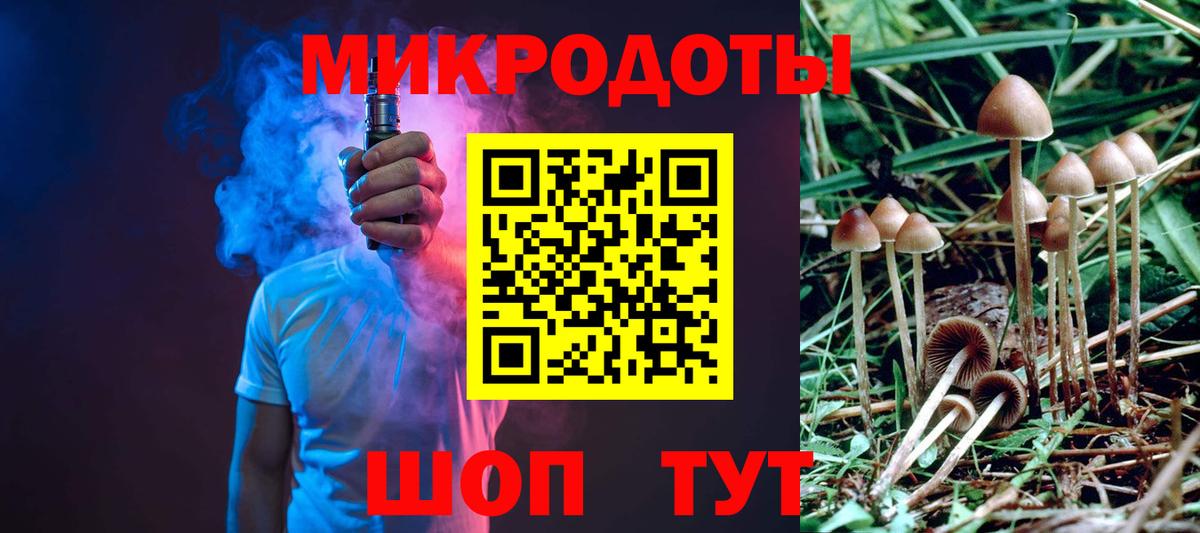 Темрюк  Псилоцибиновые грибы Psilocybe  Вход с VPN 